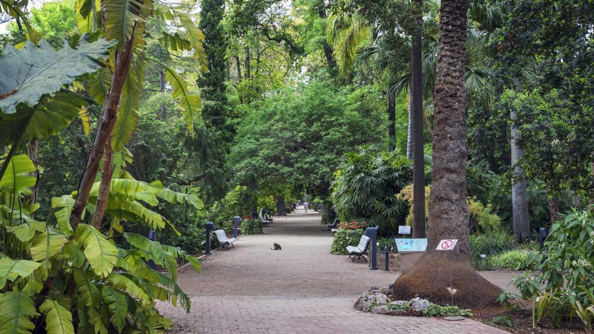 Luxotica Gardens Valencia Apartman Kültér fotó